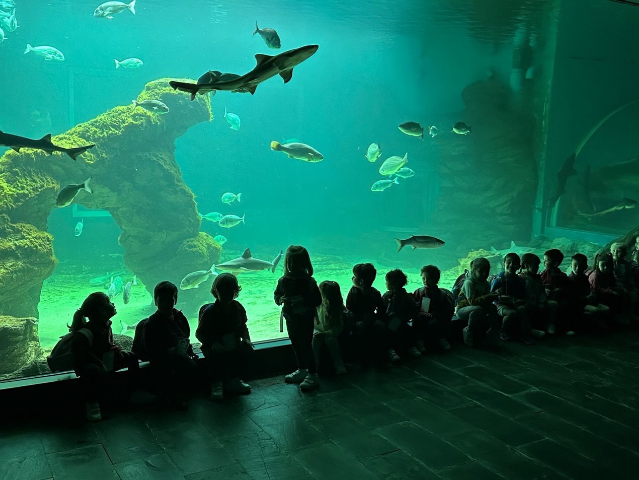 Seminario en el aula