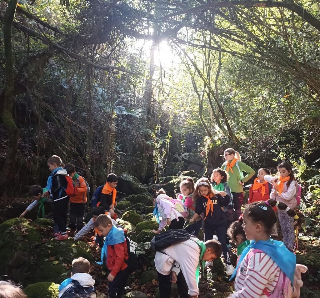 Actividades especiales de La Salle