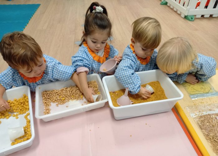 2cb14c9d-27ac-4bfa-bc31-7a1ac5b2e05e